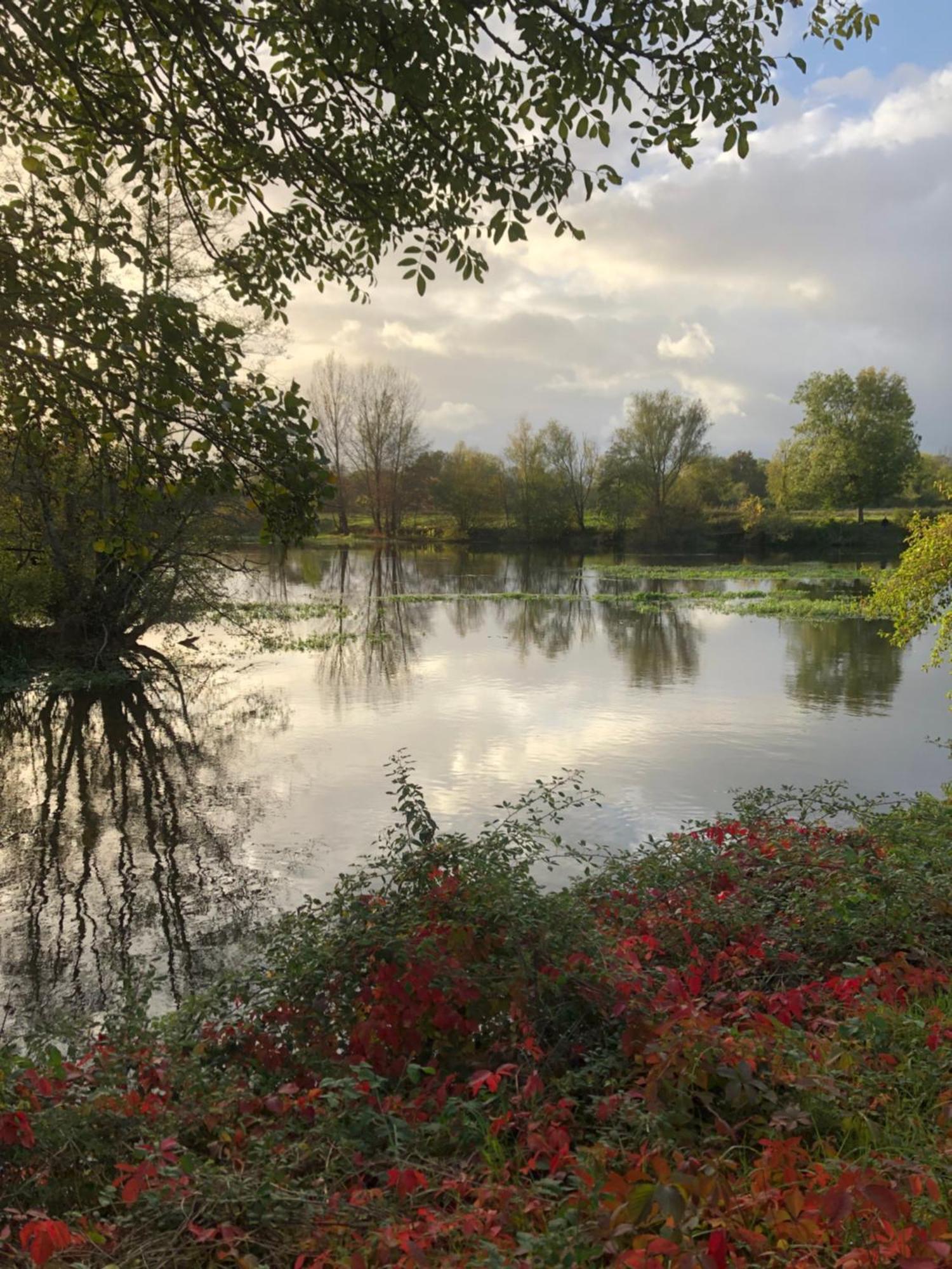 Le Numero 15 Saint-Seurin-sur-l'Isle Exteriör bild